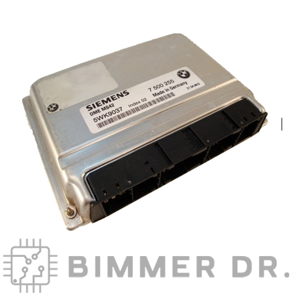 EWS Delete Service - BMW MS42 E36 Z3 E46 E39 M52